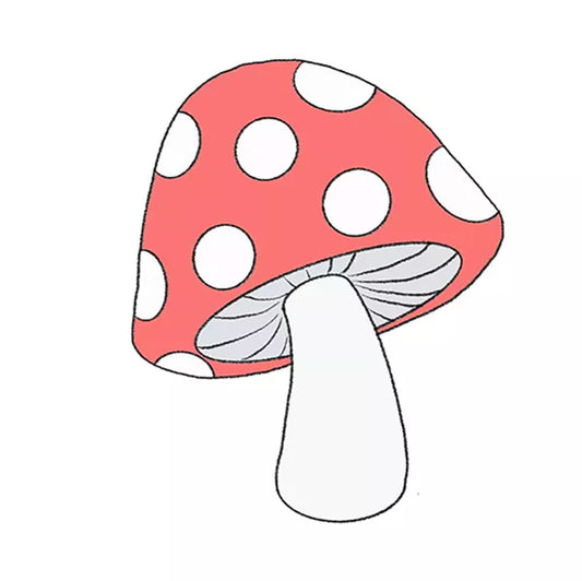 Single Mushroom🍄